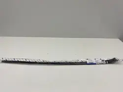 Ford OE 1519841 window seal