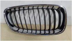 BMW 3 GT F34 Right Grill 51137294804 Original