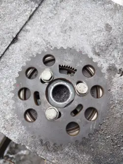 Zahnrad OEM 03G109239B für Audi A6 C6 2.0 TDI