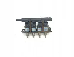 Carril de inyección GLP OEM 110R-011079C