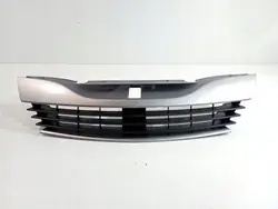 Laguna II 2 LIFT 02-07 Grill OE 8200012581