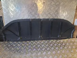 Nissan Qashqai J10 +2 Stoßstangenplatte OEM Gebraucht