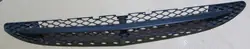 Front Bumper Center Grille Mercedes W221 A2218850523