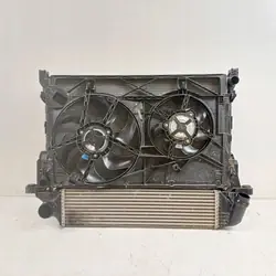 Radiador Renault Trafic III 2017 214819927R