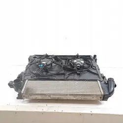 Radiateur Renault Trafic III 2017 214819927R