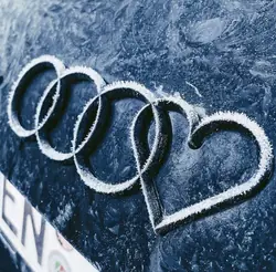 Audi A3 Q3 1.4TFSI Engranajes de Distribución 04E109088F