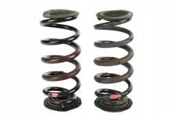 Set di molle posteriori Lexus NX300H 48231-78030