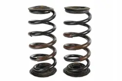 Ensemble de ressorts de suspension arrière Lexus NX300H 48231-78030