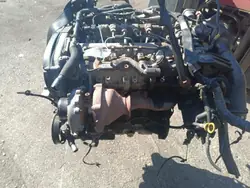 Motor Diesel Opel usado OEM Wrakowisko-25580-