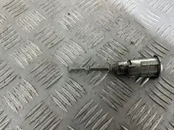 Inserción de Cerradura Puerta Delantera Izquierda Renault Scenic III OEM N0503473