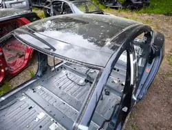 Tesla Model S Katto OEM AMD198025 - Käytetty