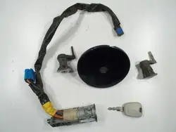 Slot- en tankdopset OEM 206 WKŁADKI ORYG.