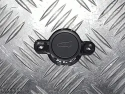 Interruptor Tesla Model Y OEM 164741300d - Usado