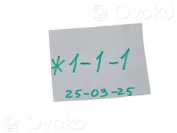 Käytetty Cupra korkeajännitekaapeli OEM 00001002