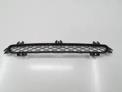 Griglia paraurti anteriore BMW X3 F25 10-14