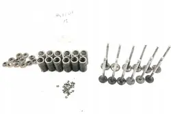 OEM Inlaat/Uitlaatkleppen Audi A6 A4 VW Passat 2.5 V6 TDI