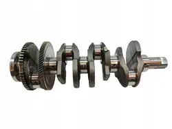 Krukas OEM 5907911284909 voor Renault Koleos I