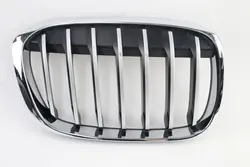 BMW X1 F48 X Line Right Grill 51137354824