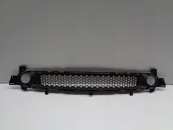 Grille de pare-chocs Smart Fortwo W453 14- A4538880523