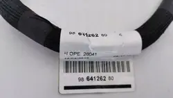 OEM 9864126280 Korkeajännitekaapeli Citroen e-C3 2024