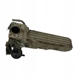 Enfriador EGR Volkswagen Golf V 038131513AD