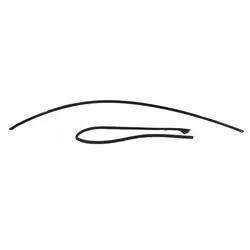 Joint de Rail de Toit Gauche OEM 1621160-00-A Noir Mat