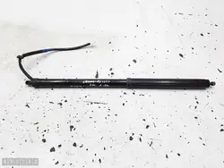 OEM 6892048030 Lexus RX 450h amortiguadores portón