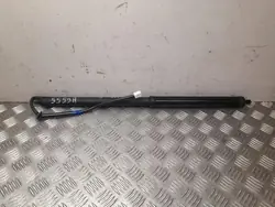 Kaasujousi Lexus RX 2021 OEM 68910-48100