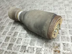 Ressort pneumatique arrière BMW X5 E53 OEM AMD74566