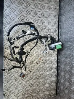 Harness da porta dianteira esquerda OEM 9825267380
