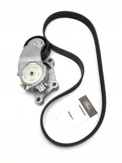 Gates K026PK975 Ensemble de courroie multi-V