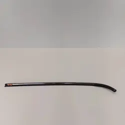OEM MIV13619 Sidorutslist för Mini Paceman