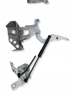 OEM 654010249R Conjunto dobradiças capô Vivaro B/Trafic III