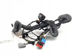 Left Front Door Wiring Ford Kuga I 8V4T-14A584-AAB OEM