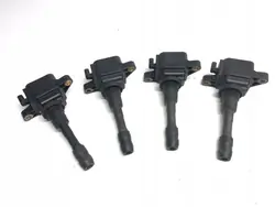 Zündspulen-Set Renault Scenic III 224337085R