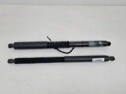 Gasfjäder BMW X3 2024 set OEM 7497482