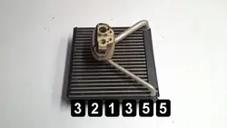 Évaporateur climatisation VW Polo OEM AM-321355