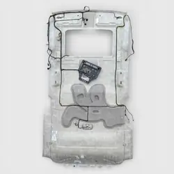 OEM 10GM389B Plafonnier pour Cadillac Escalade 07-14