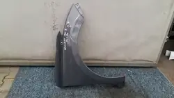 Hyundai OE 66321-C8000 Främre Höger Skärm