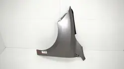OEM 360168800 Etu vasen lokasuoja Renault Megane III