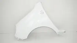 OEM 360200820 Etu vasen lokasuoja Renault Kangoo II:lle