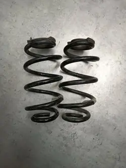 Muelles Traseros BMW 2 F44 OEM PRI2224