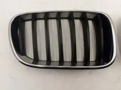 BMW X3 F25 Front Grill 51117210725