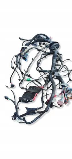OEM 403887684R Johdotus Renault Megane IV