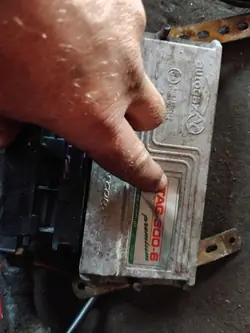 Kit LPG Stag OEM WEG-AMA030609999-300 Instalación Delantera