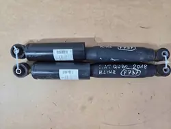 Ammortizzatori posteriori sinistro e destro Fiat Qubo 51929885