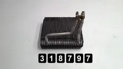 OEM AM-318797 Klima-Verdampfer für Citroen C6