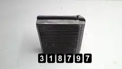OEM AM-318797 Évaporateur climatisation Citroen C6