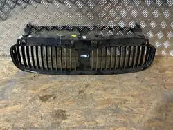 BMW Främre Grillram