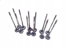 Gebrauchtes FIAT Ventil OEM No MPN für 1.6 D Multijet